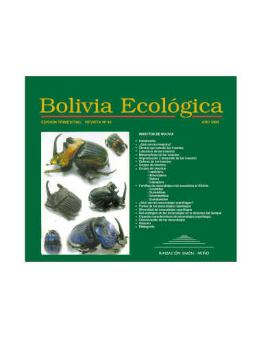 Insectos de Bolivia 40