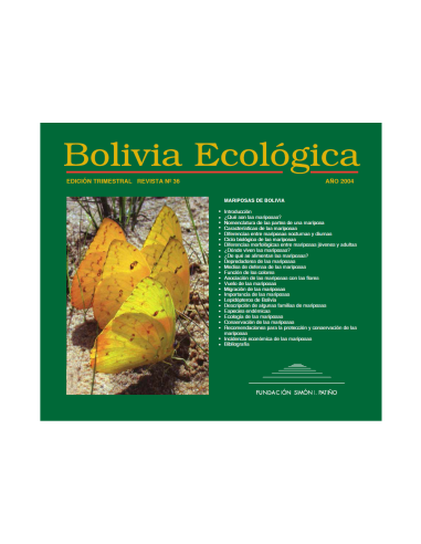 Mariposas de Bolivia 36